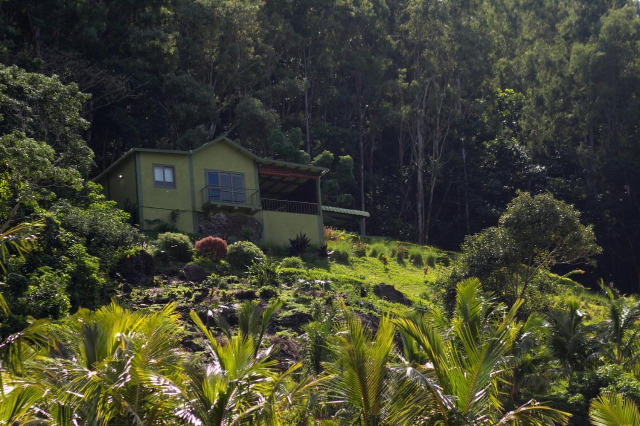 The Green Shack Quatre Soeurs Esterno foto