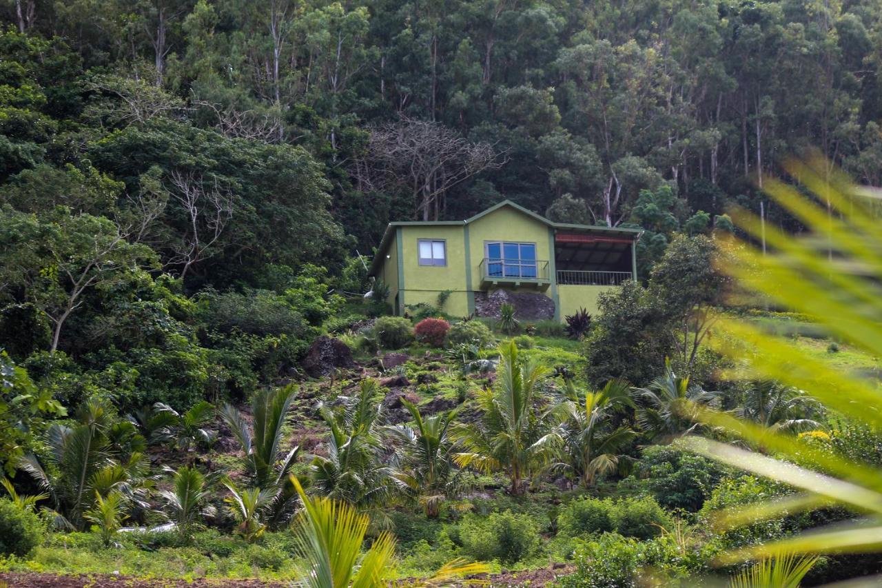 The Green Shack Quatre Soeurs Esterno foto